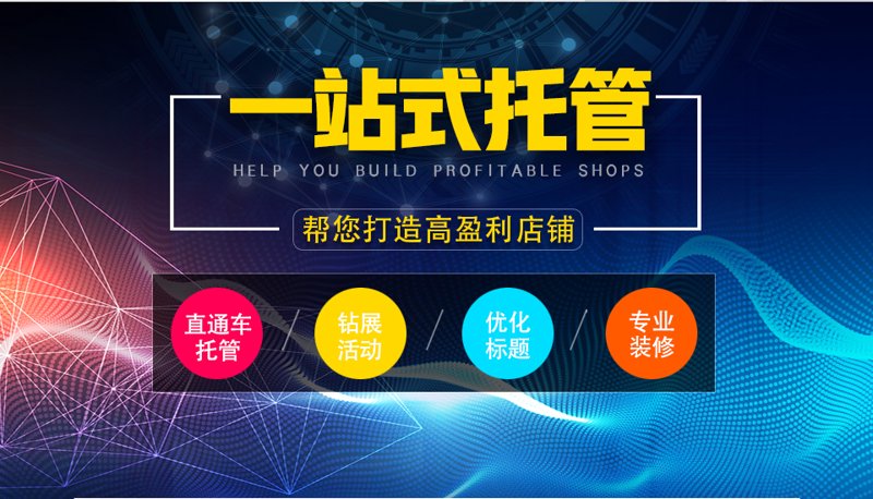 站群系统的兴起与应用