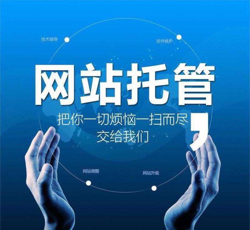 2025年站群程序市场的工程化演进与选型逻辑